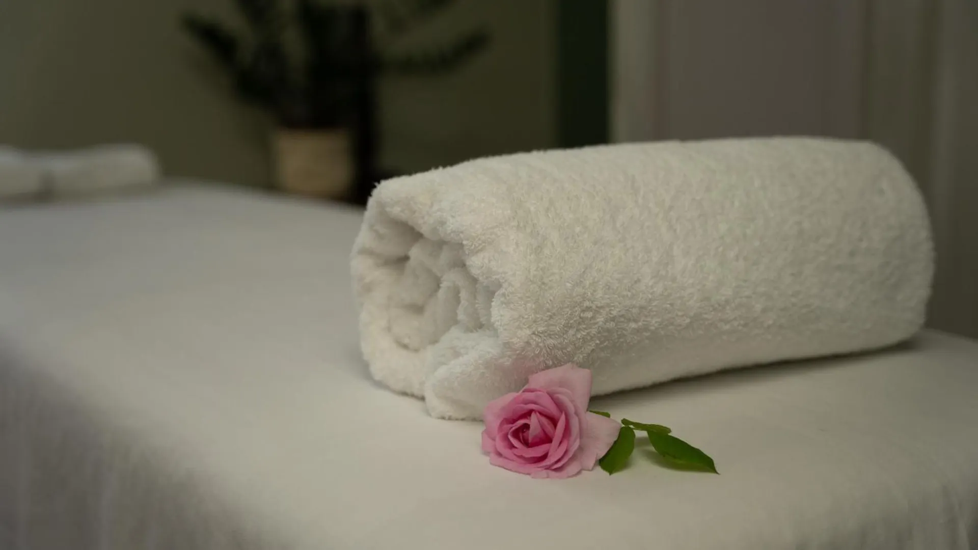 Hotel Florence Manerba del Garda